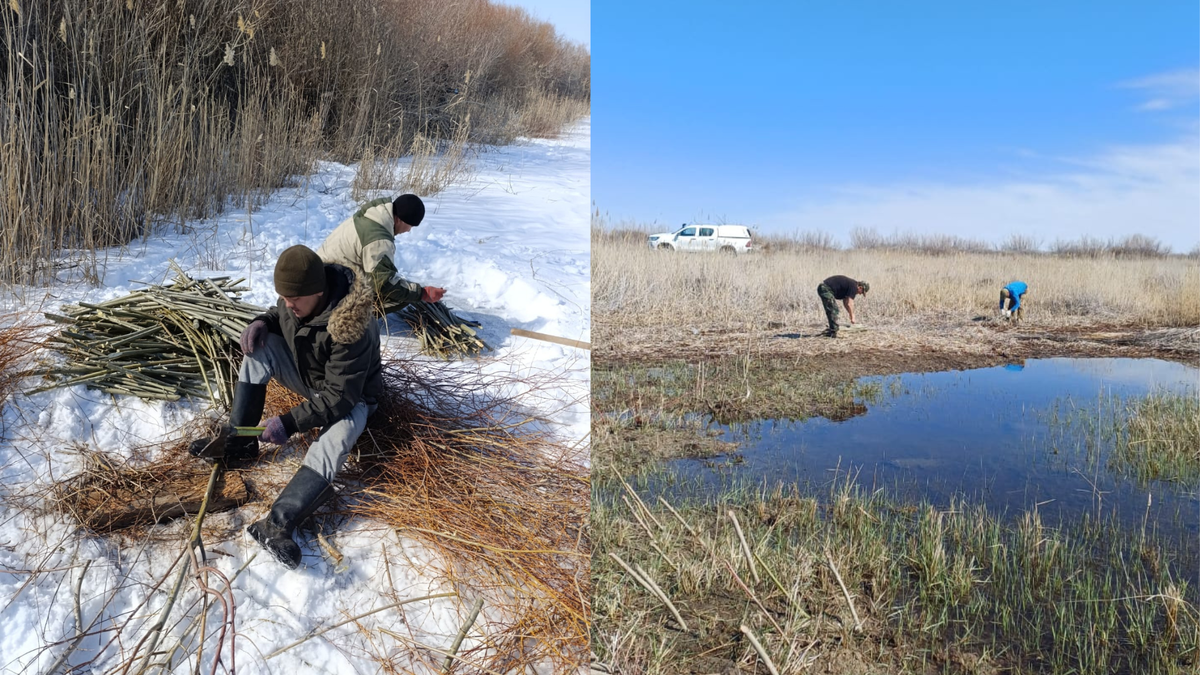 Источник: пресс-служба АО "ОТЛК ЕРА"