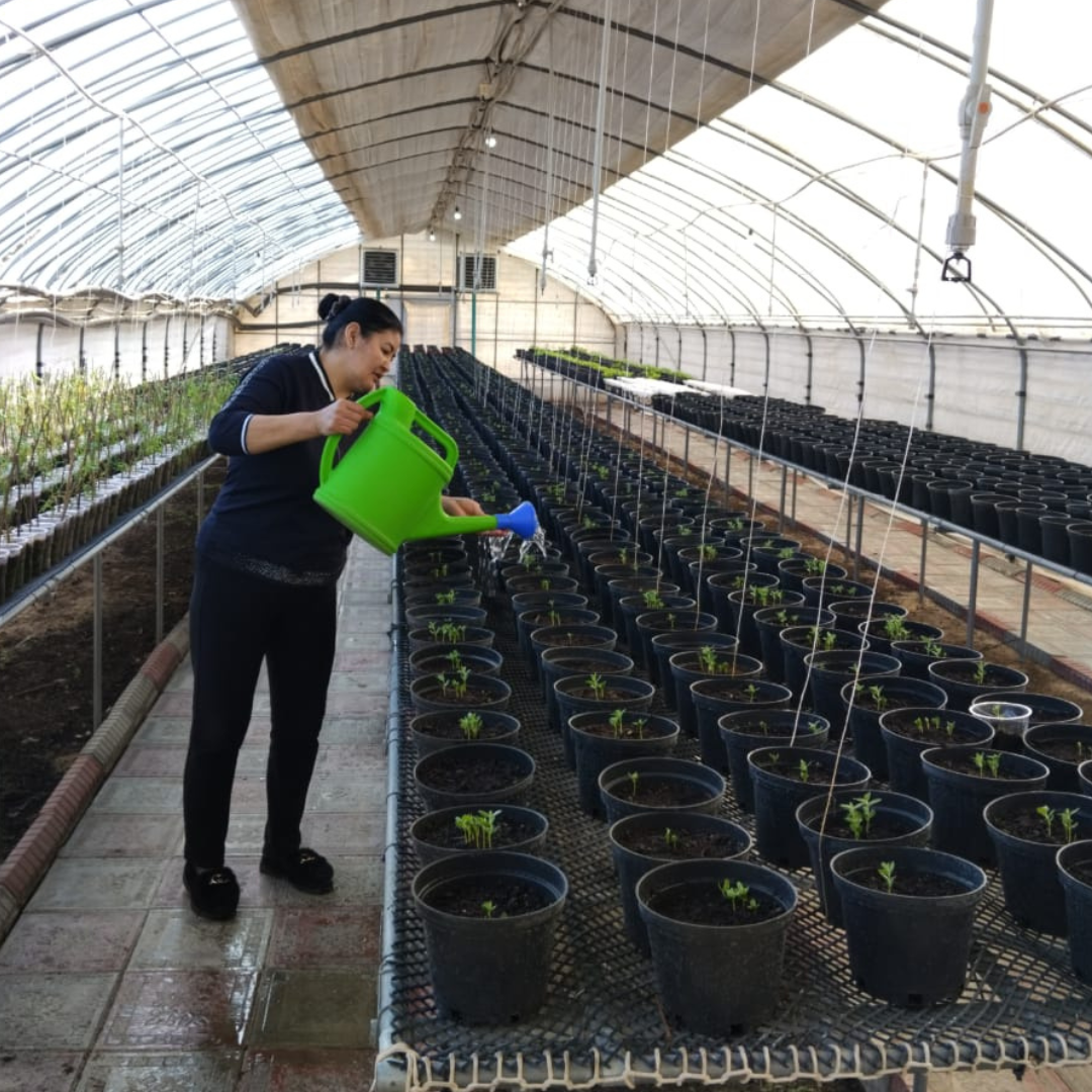 Источник: пресс-служба АО "ОТЛК ЕРА"