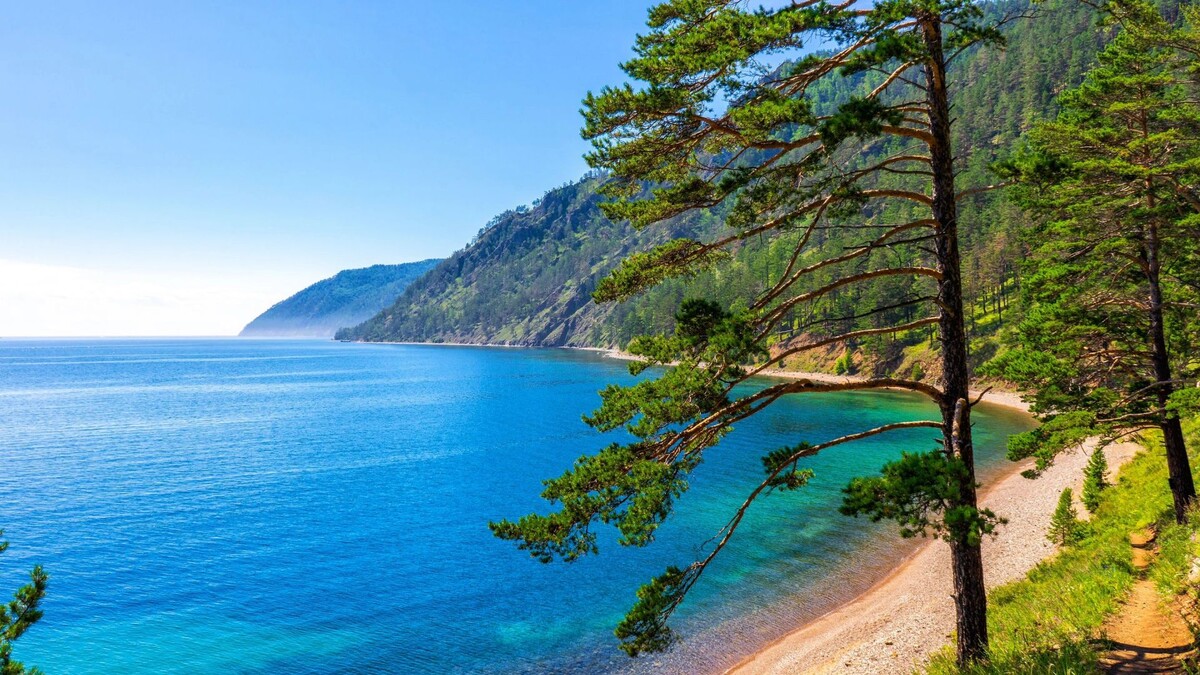    Фото: Tatyana Andreyeva / Shutterstock / Fotodom