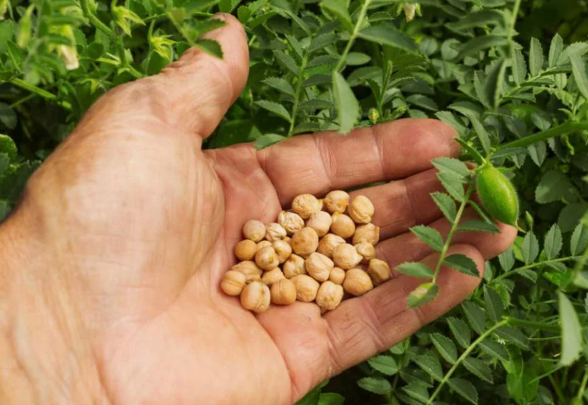 Источник фото: ap22.ru