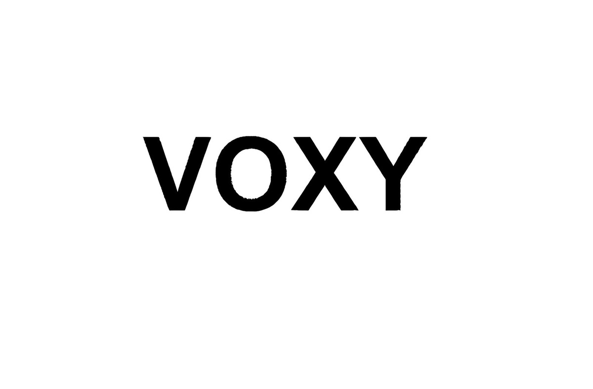    Товарный знак Voxy