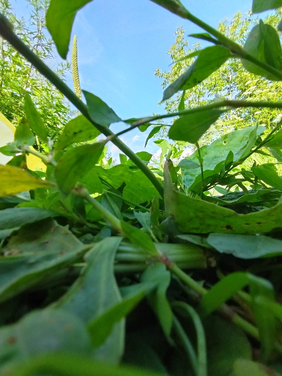 Отмечали на природе