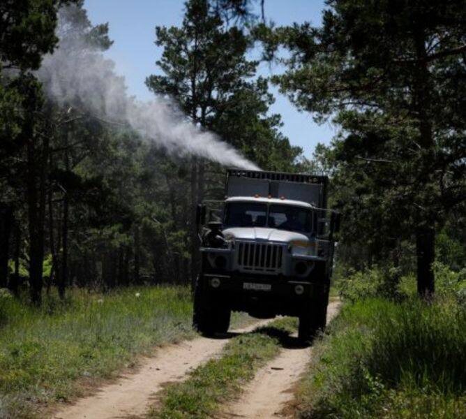    В Оренбургской области закончили обработку лесов от вредителей Мария Чалкина