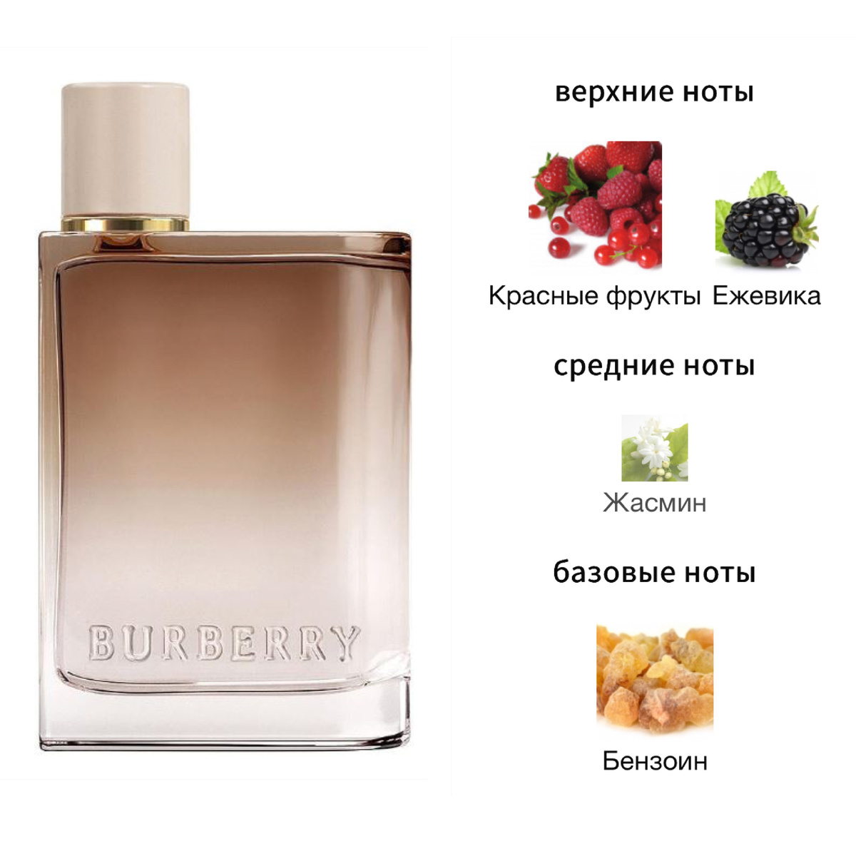 Пирамида аромата