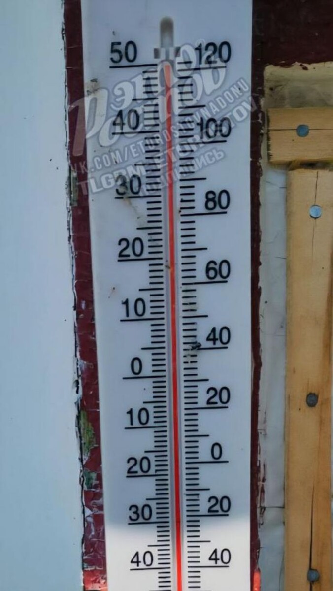 Источник фото: Соцсети