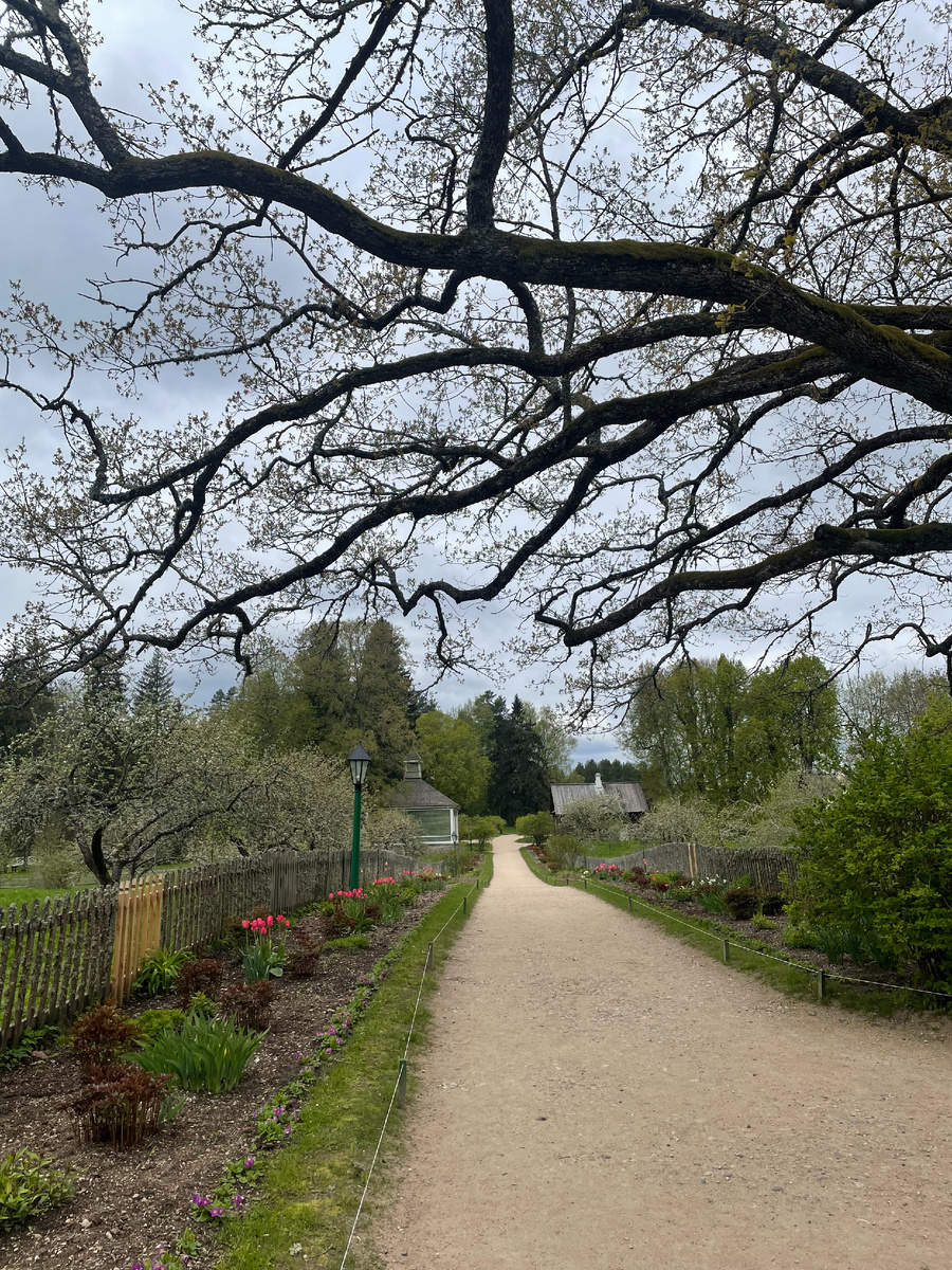 Дорога к родовому имению Пушкиных