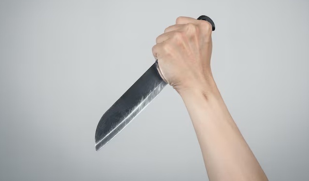    Фото: ru.freepik.com Екатерина Шахнина