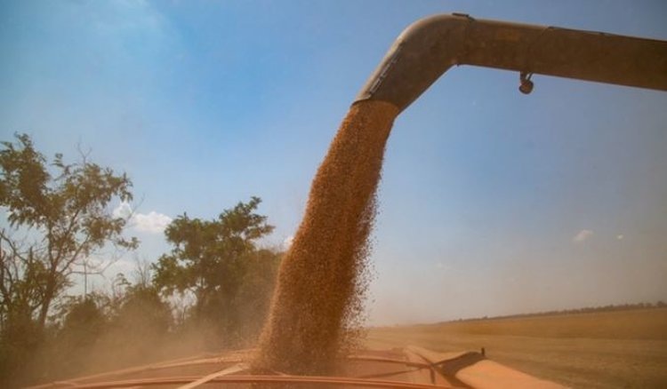    Фото: Минсельхоз Ставропольского края