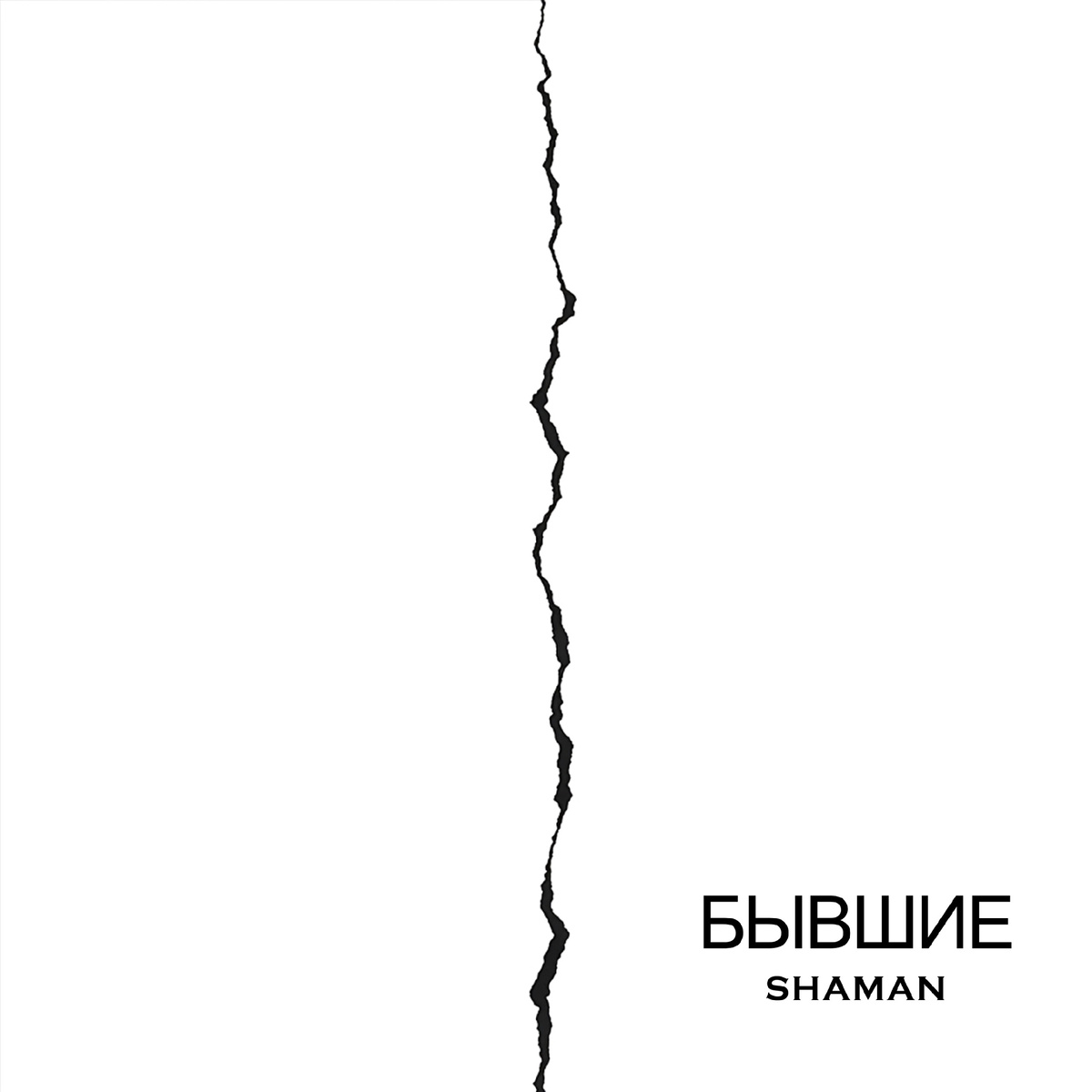 Обложка: Продюссерский цеентр SHAMAN