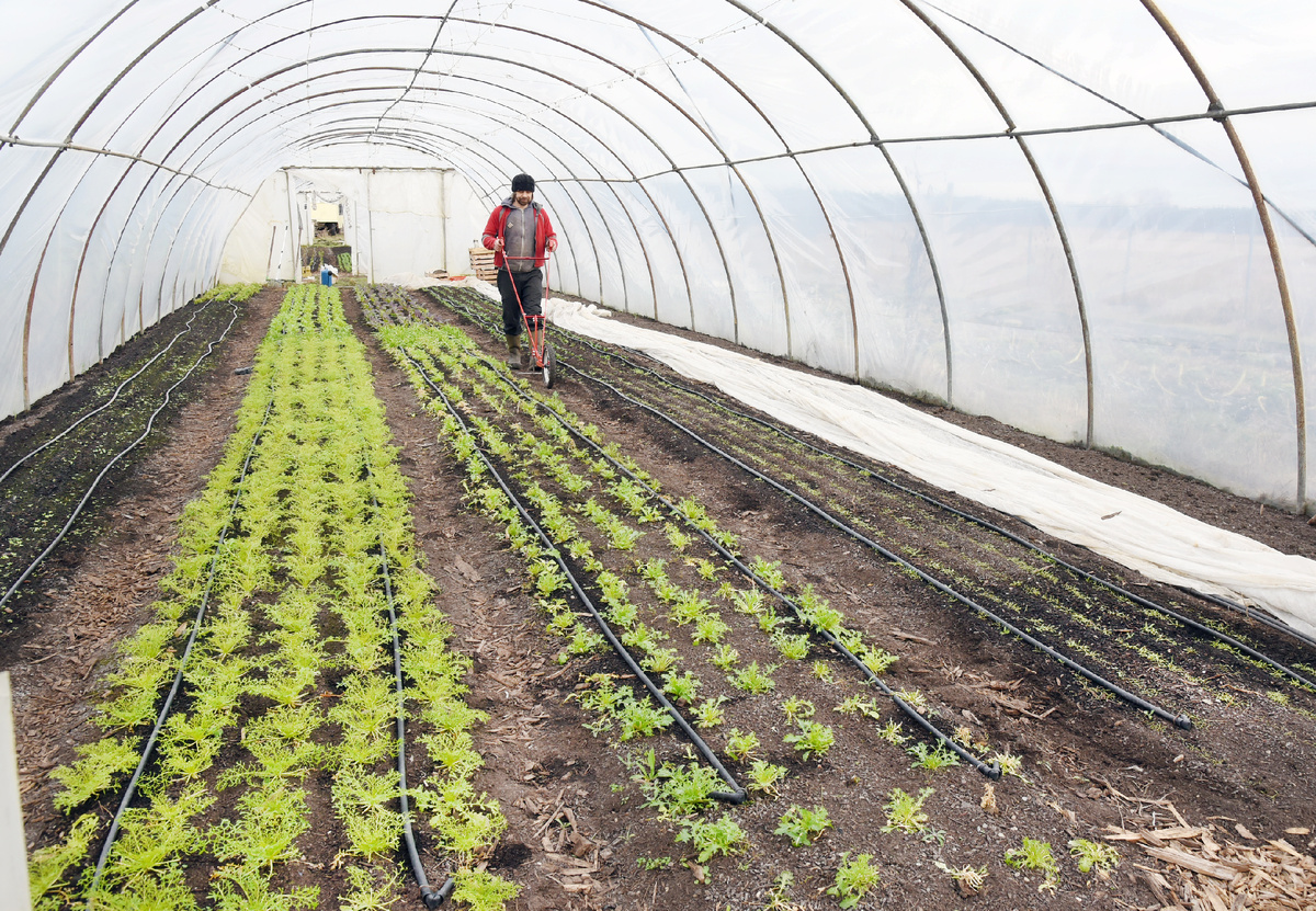 Фото: © Waltraud Grubitzsch/ dpa/ Global Look Press