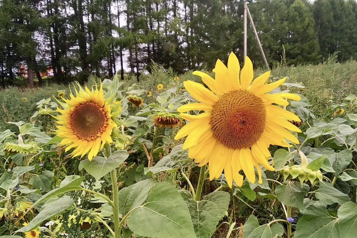 Фото: UfacityNews.ru