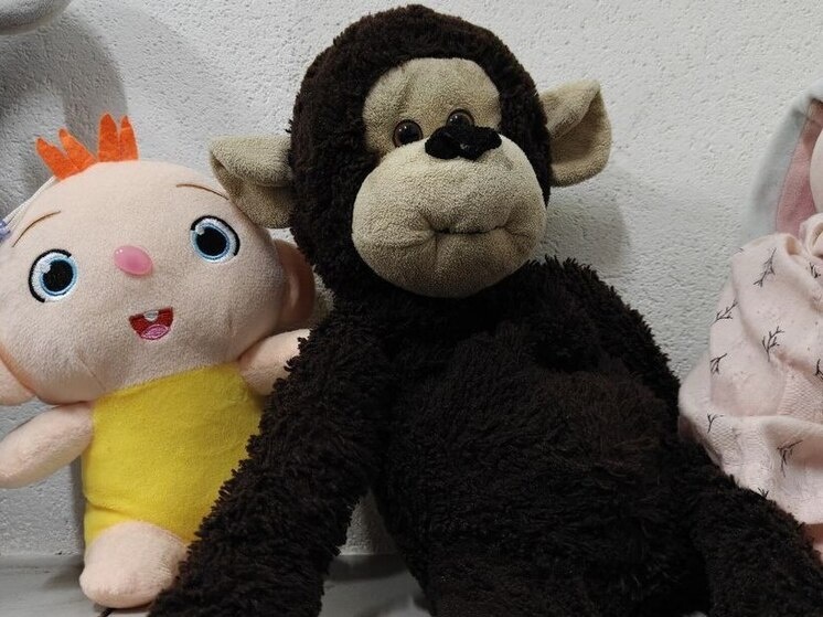     В 2025 году из 125 дел суды рассмотрели 13. И только три мужчины ушли их них счастливыми папами. Фото: архив "МК в Питере".