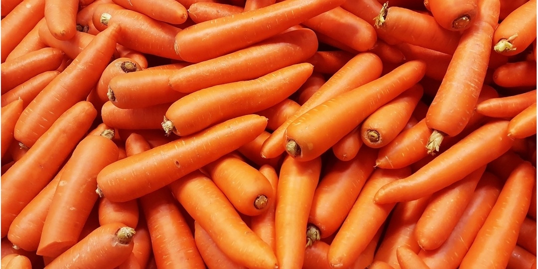"Тайны урожайной моркови: почему у одних она растет крупной, а у других – корявой и мелкой"