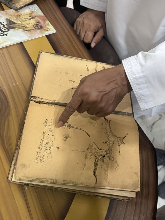 Фото предоставлено Владой Бондаренко