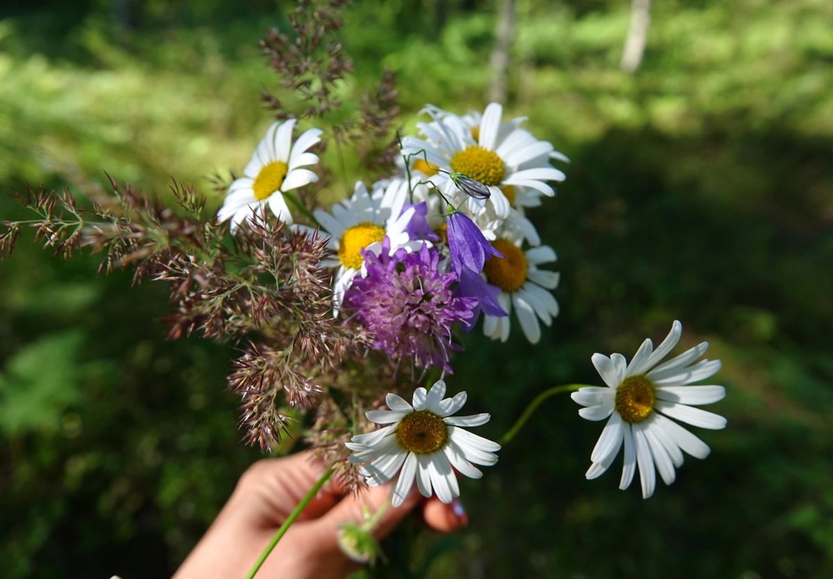 Фото Анны Крупской