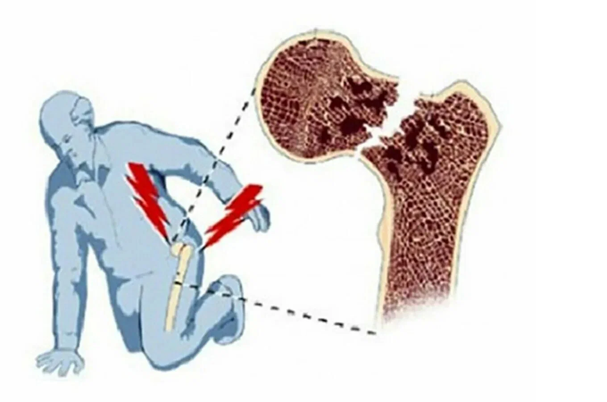 фото из интернета