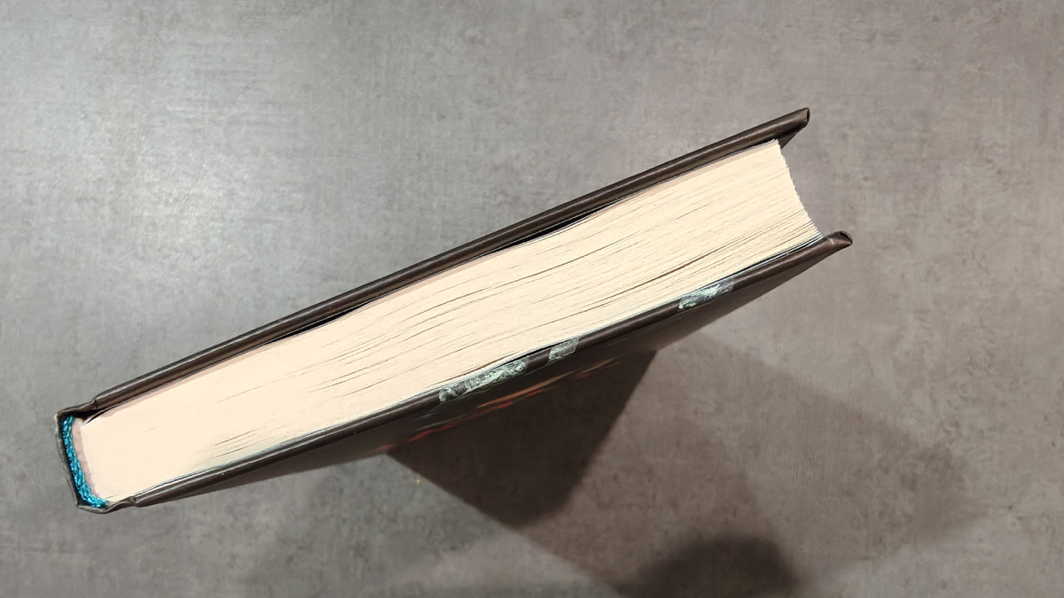 Книжка тоненькая, 220 страниц, читается легко