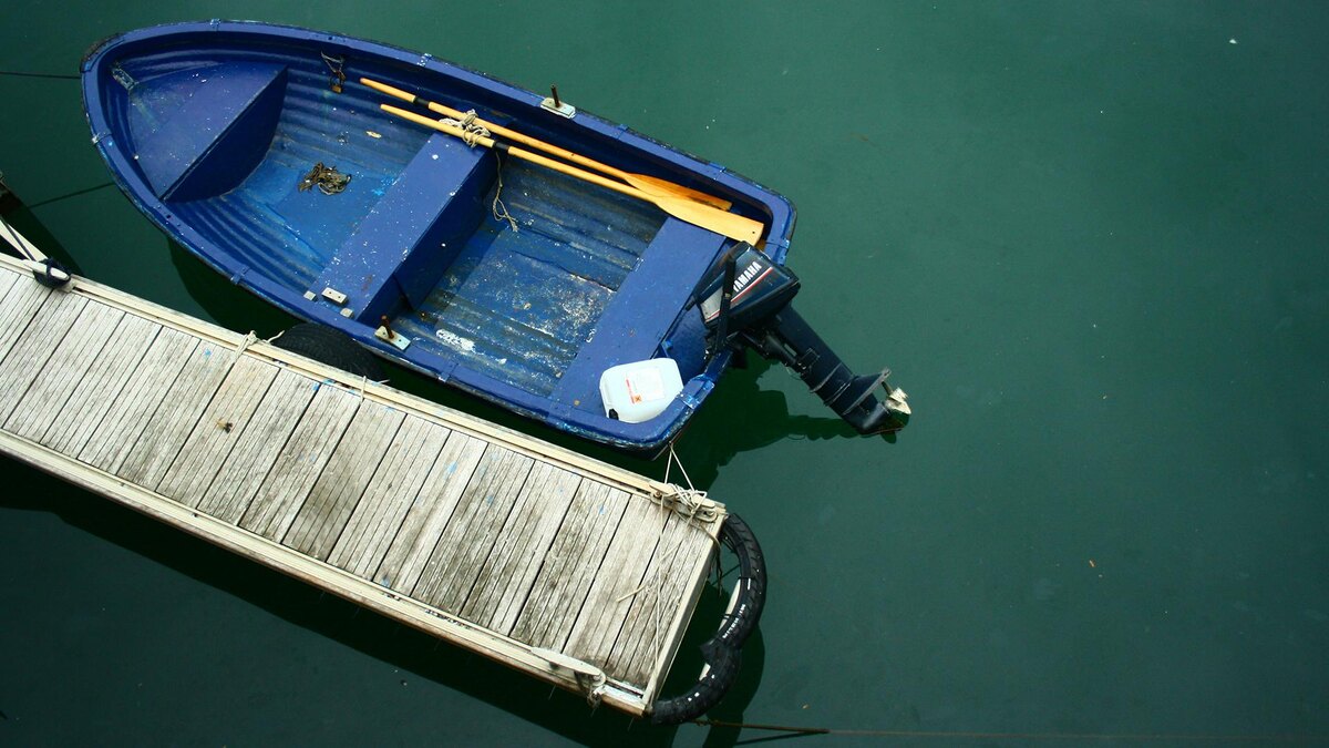    Фото: unsplash.com