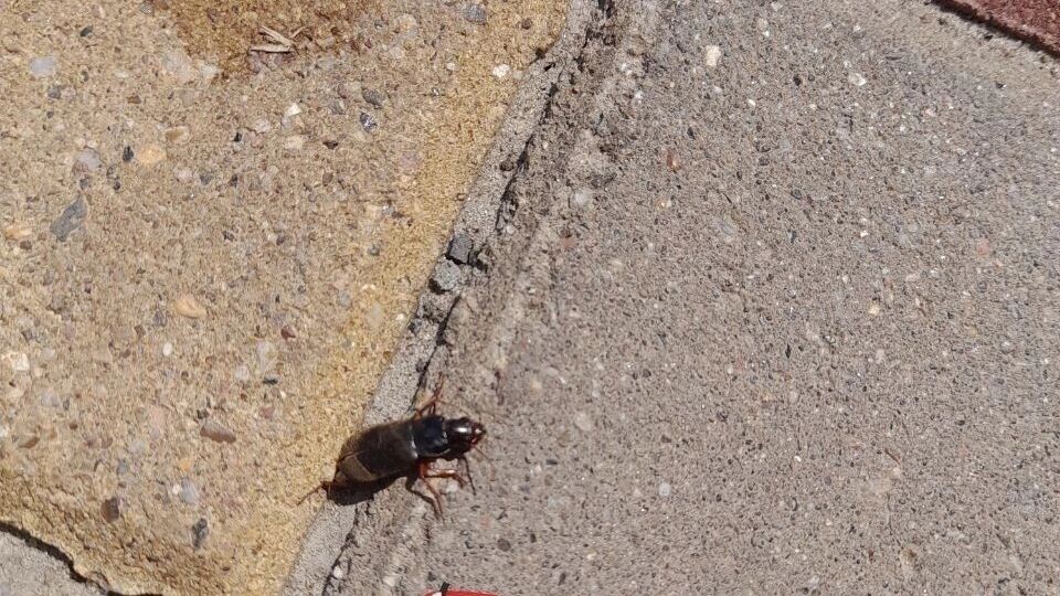     Источник: bel.ru