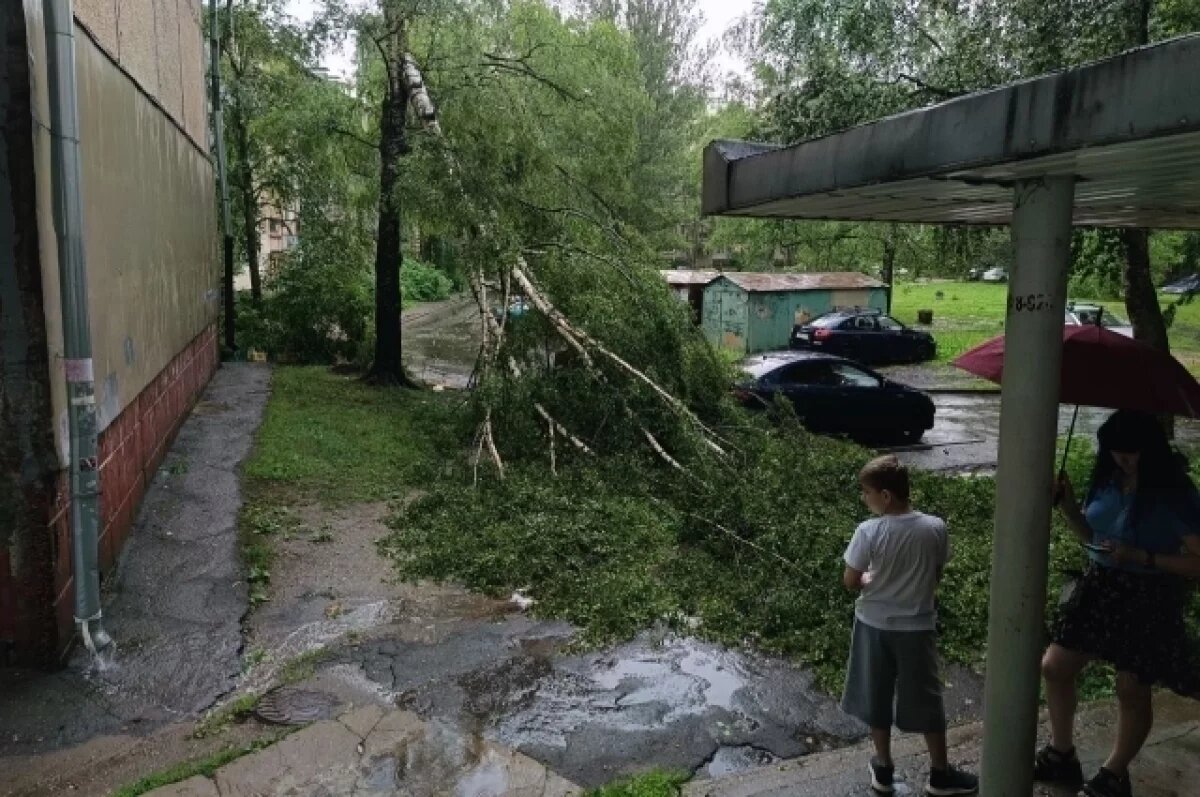    Ярославцы делятся фотографиями с последствиями урагана 8 июля