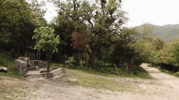    © Photo : Пресс-служба Ленингорского района