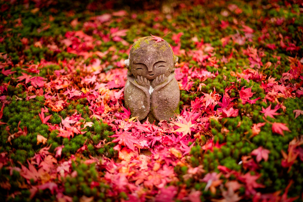 Мёртвая мать — это та, которая перестала жить для ребёнка