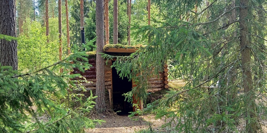 Образцовая избушка с баней в глуши