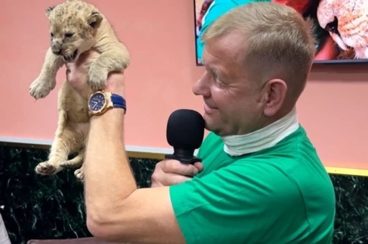    В ходе прес-конференции руководитель «Тайгана» показал львят.