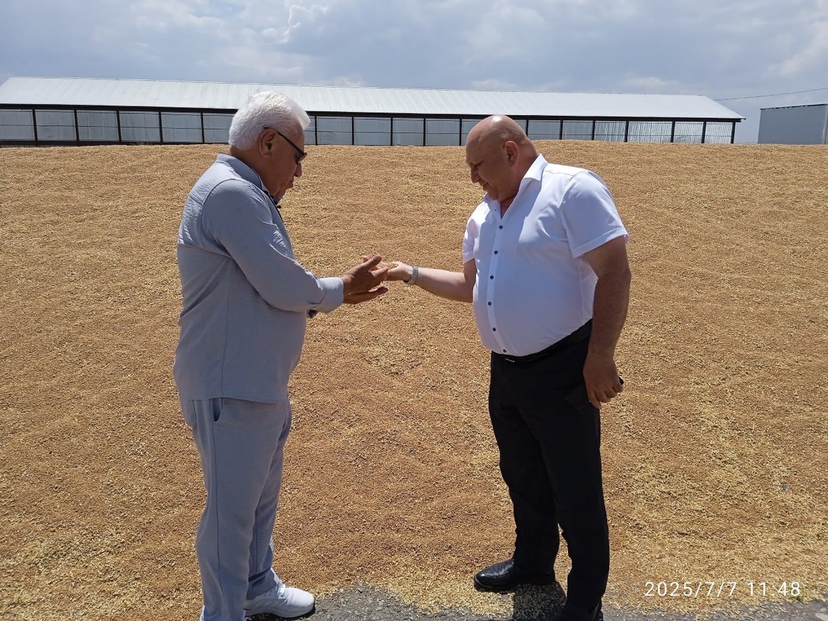    Фото: ГТРК-Алания