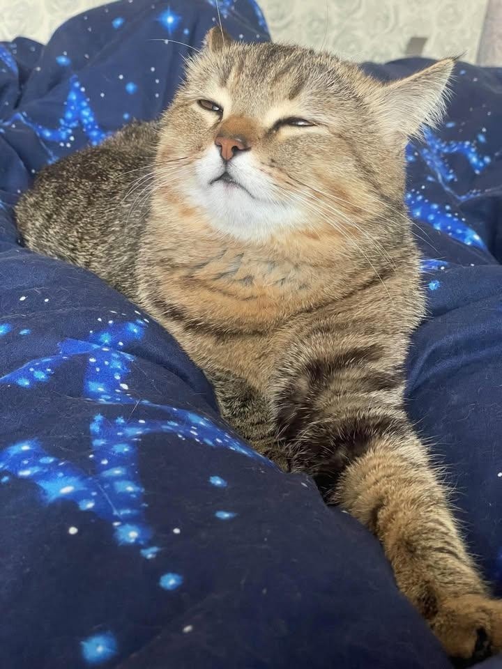 иллюстрация из яндекс картинки.