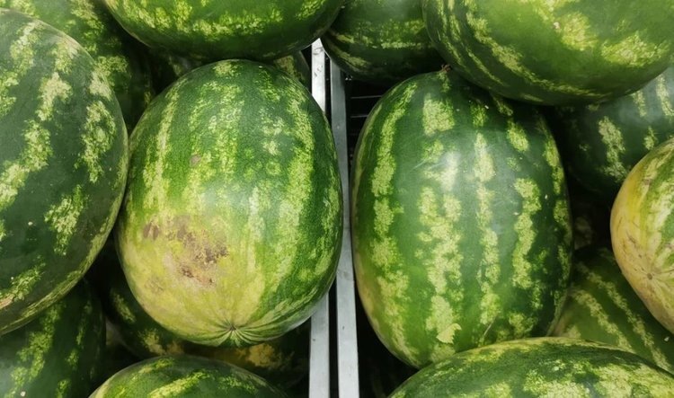    Фото: Лукьянов Дмитрий, AgroXXI.ru