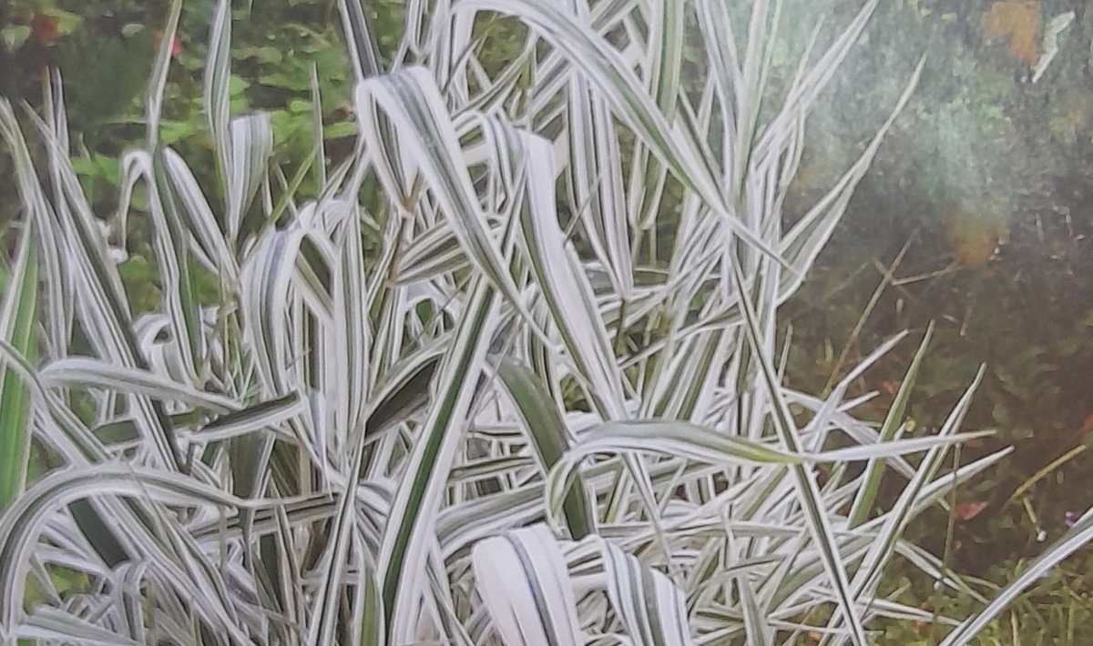 Фото автора канала