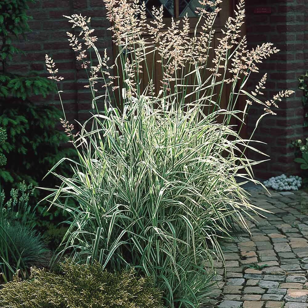 Фото из свободного источника