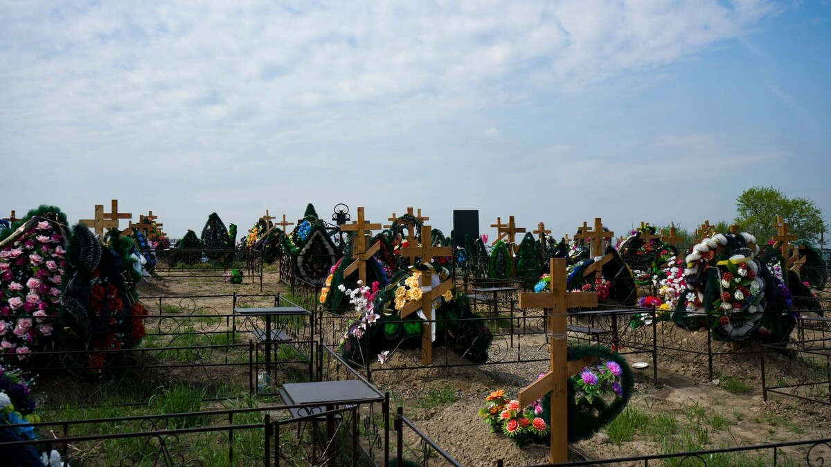    Фото: Vectorina/Shutterstock/Fotodom