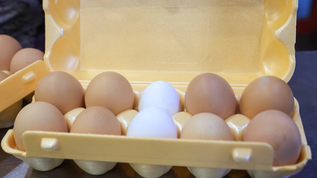    Фото: Shatokhina Natalia/news.ru/Globallookpress