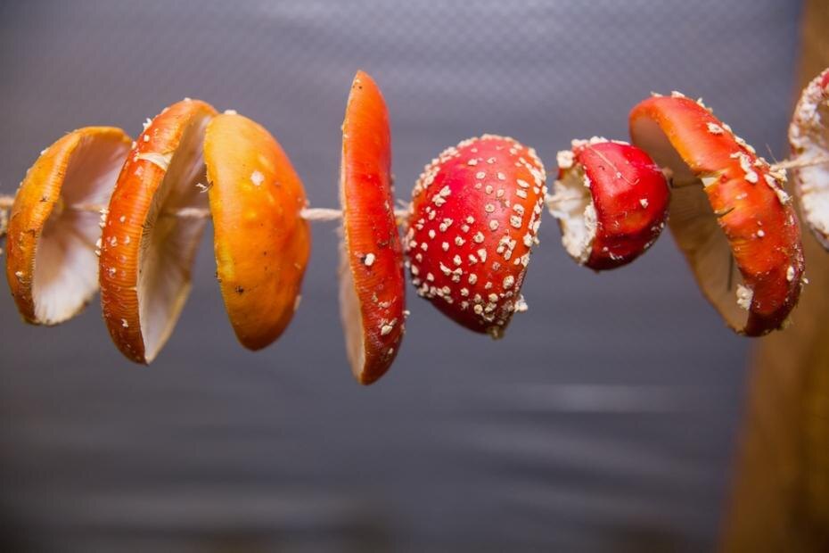    Shutterstock/FOTODOM