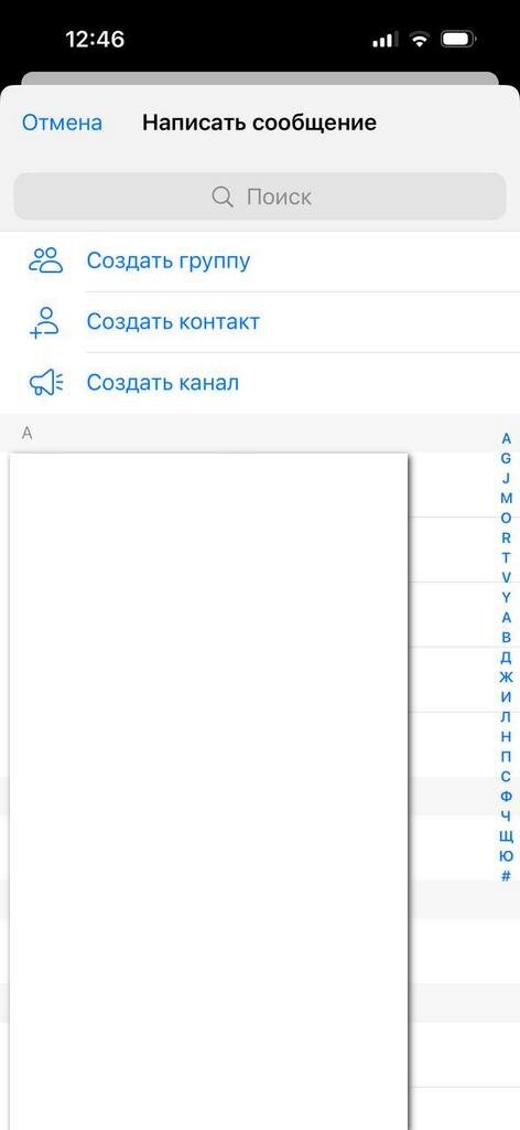 Мария Решетникова для «РБК Трендов» / telegram.org📷Создание Telegram-канала на iOS