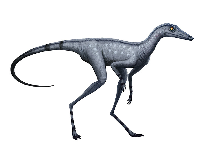 Лагерпетон с очень тонкими ногами.