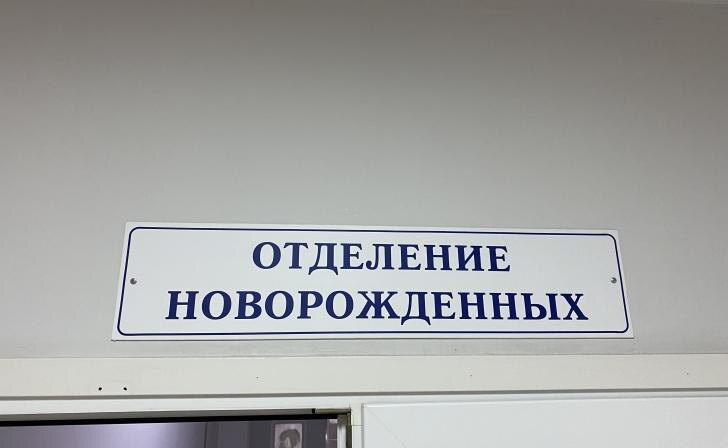    Фото: Курские известия