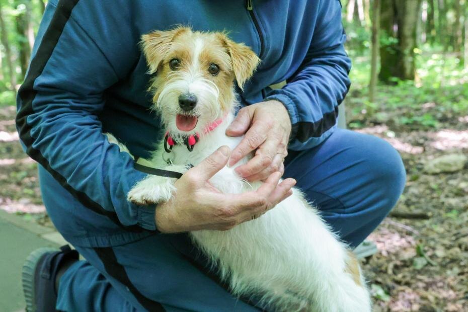    Наталья Шатохина/NEWS.ru