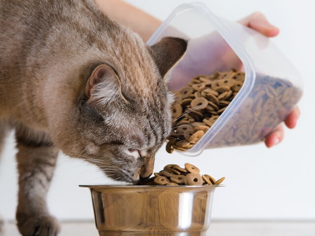    Фото: 123RF/hasloo