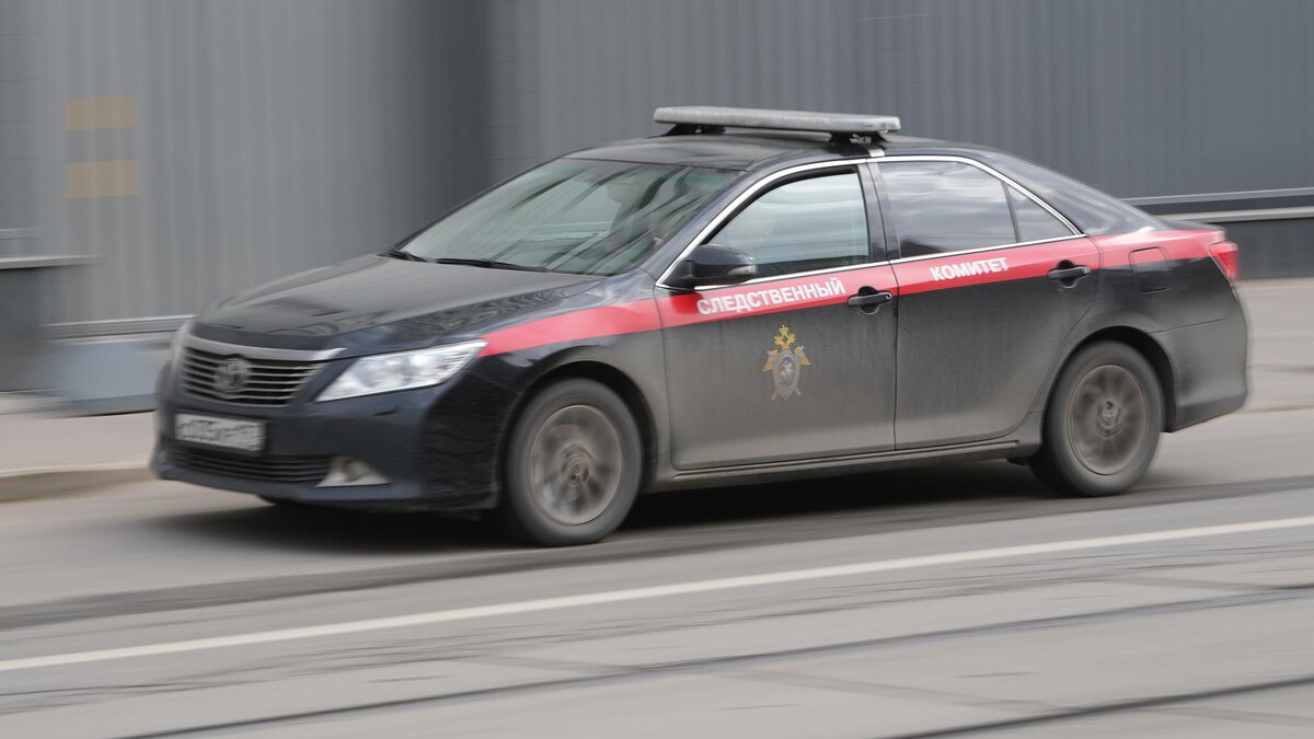    Фото: ИЗВЕСТИЯ/Дмитрий Коротаев