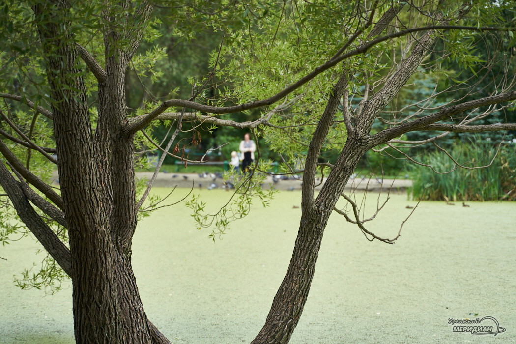    Фото Лидия Аникина © ИА «Уральский меридиан»