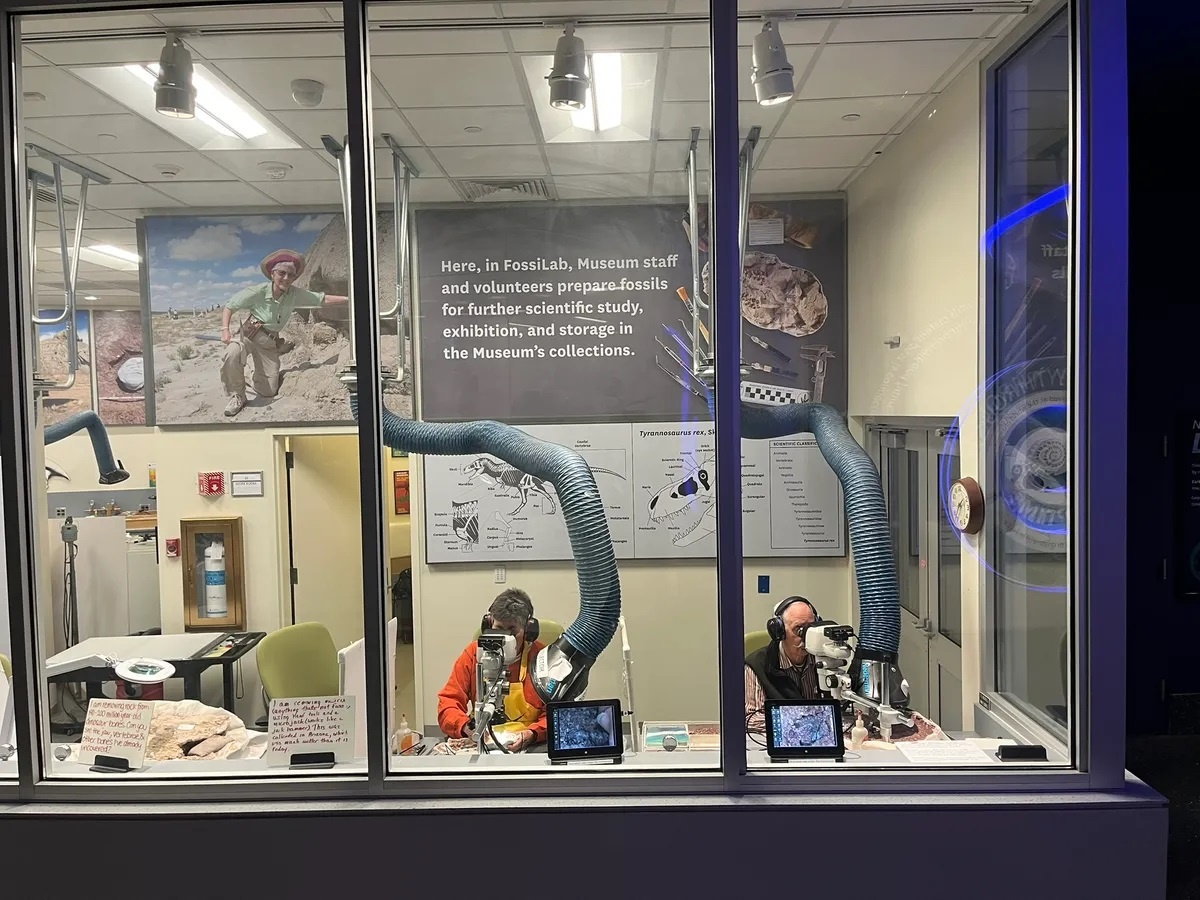    Ben Kligman, Smithsonian