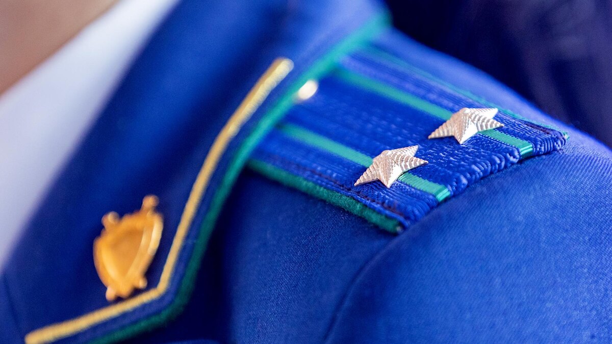    Фото: Aleksey Smyshlyaev/globallookpress.com