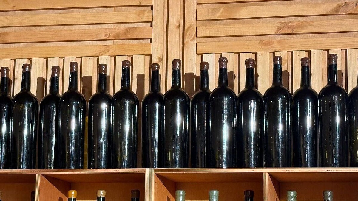    Фото: телеканал «Краснодар»