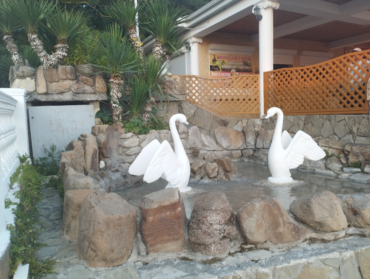 Фото автора, где-то в Дивноморске. 