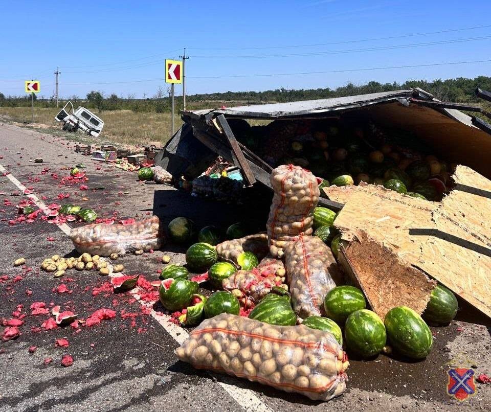    Фото: ГУ МВД России по Волгоградской области