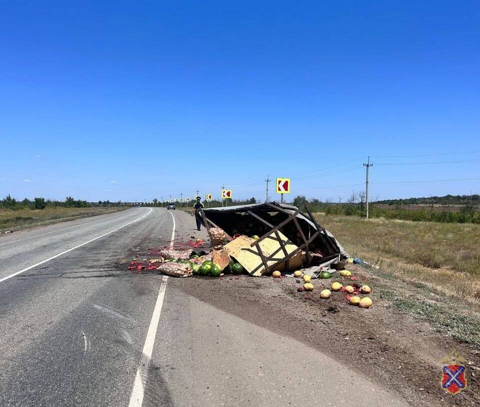    Фото: ГУ МВД России по Волгоградской области