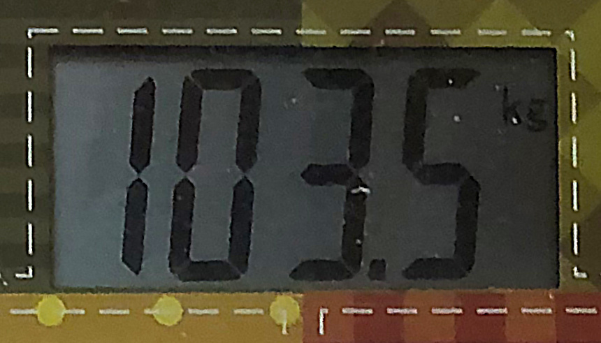 10 месяцев назад. Фото автора. 